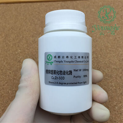 Recombinant Human Superoxide Dismutase-1 (rh-Cu, Zn-SOD)