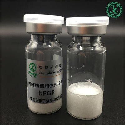 Fibroblast Growth Factor-10 FGF-10 KGF